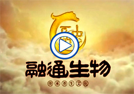 &#31859;&#20848;&#31449;&#32593;&#39029;&#29256;&#45;&#31859;&#20848;&#40;&#20013;&#22269;&#41;